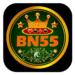 Bn55 Game App Download